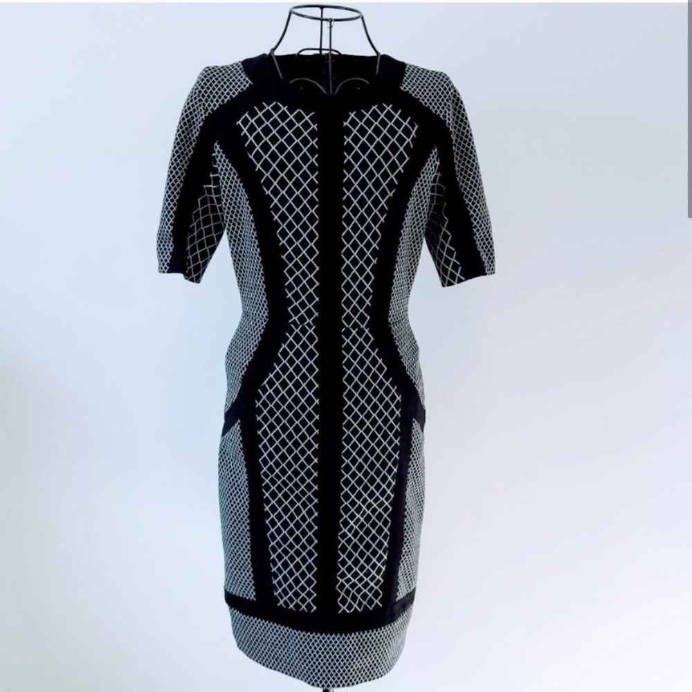 BCBGMaxAzria Camellia Sheath Dress in Medium